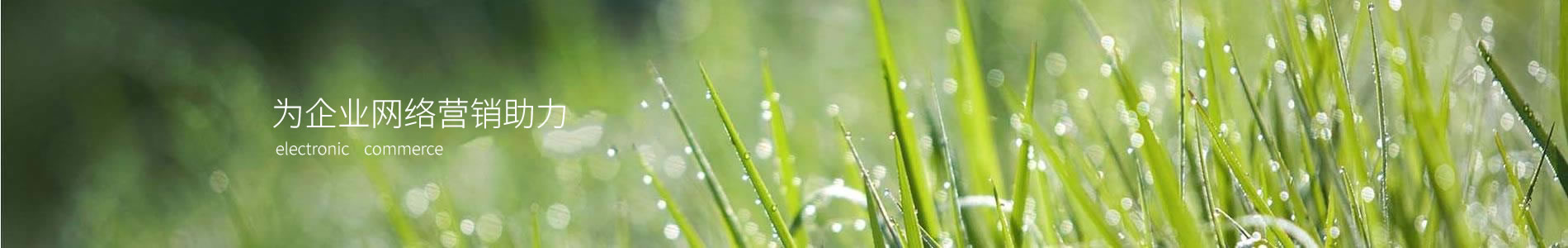 ݷʥԵƼ޹˾